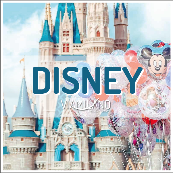 DISNEY BANNER PROVIS